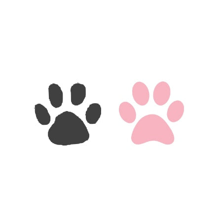 Cat Acrylic Stud Earring 29918607