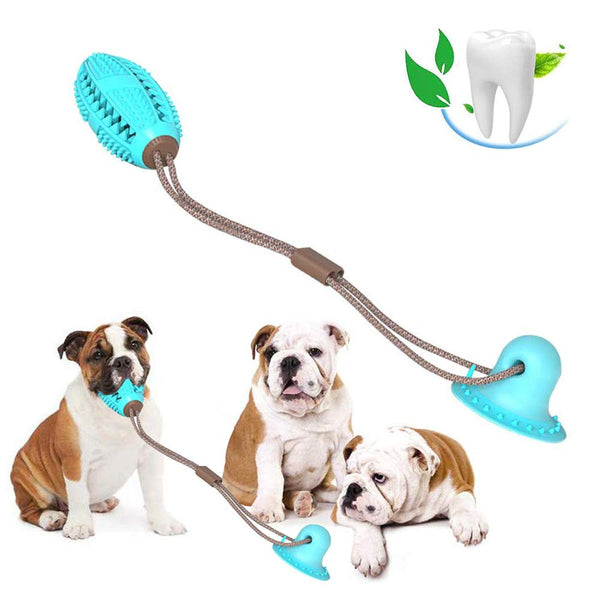 Pet Chew Ball