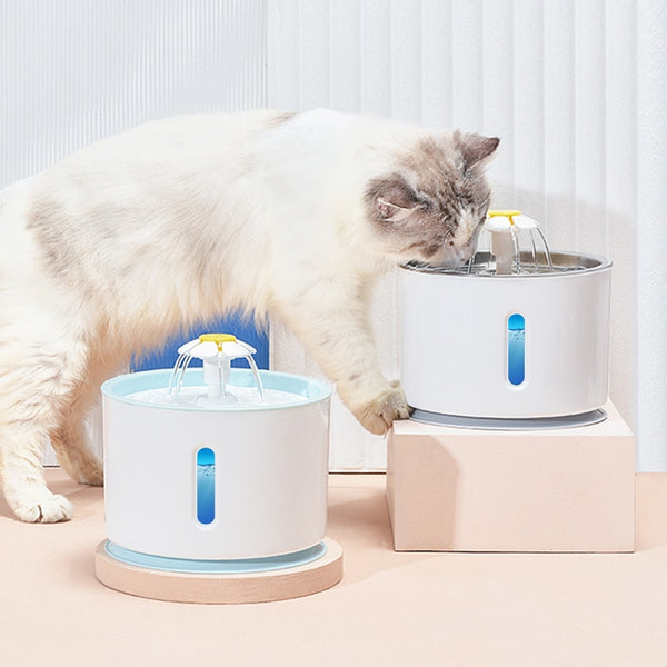 Pet Water Fountain Dispenser