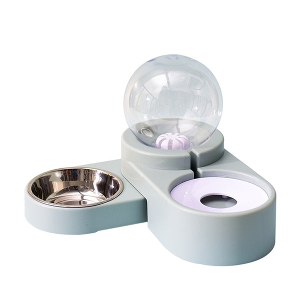Automatic Water Dispenser With Bowl