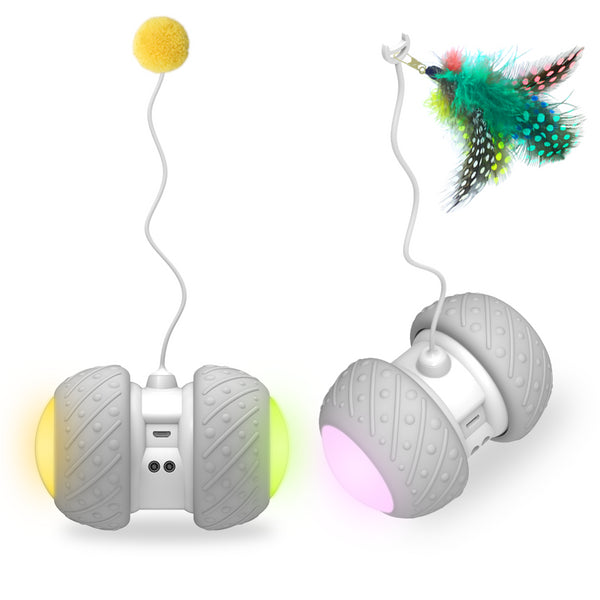 Smart Remote Toy