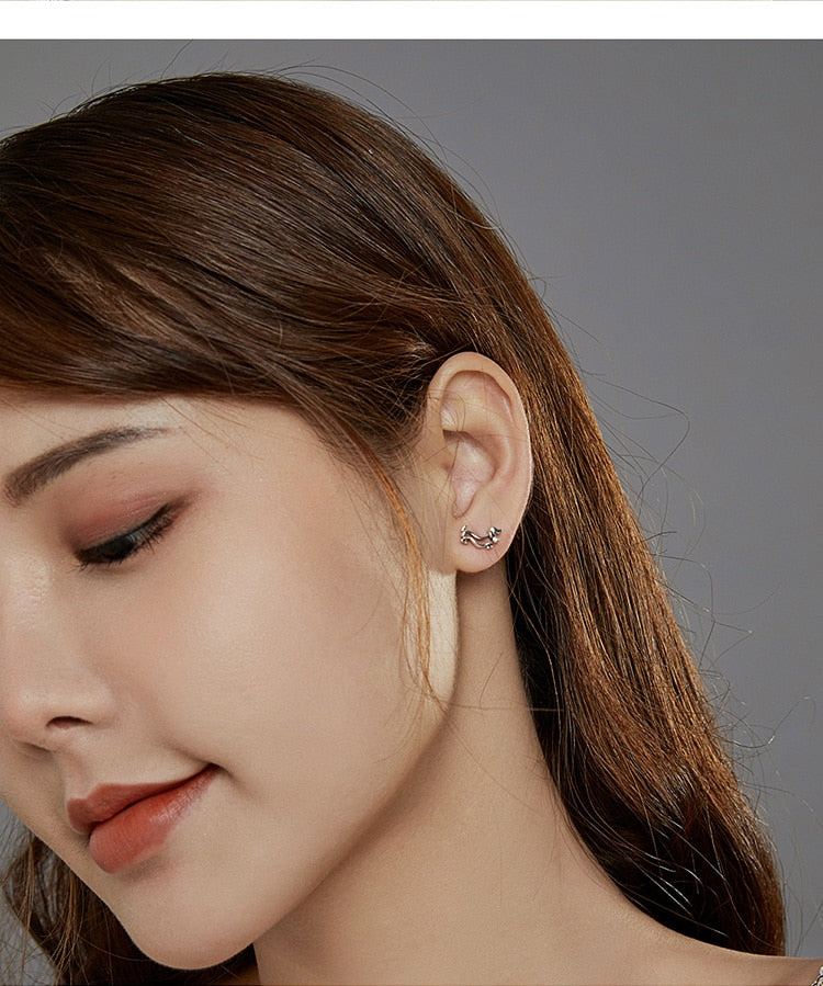 925 Sterling Silver Zircon Dachshund Stud Earrings CQE952