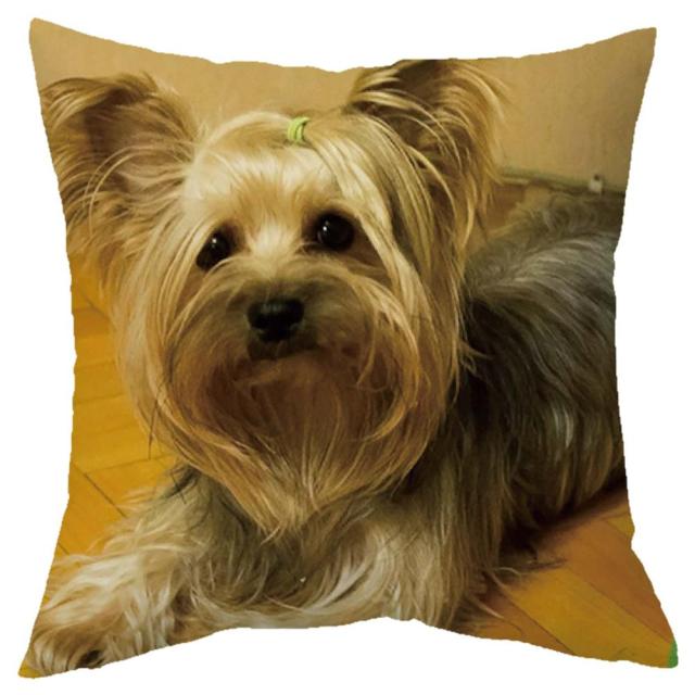 45*45 cm Cute Dogs Pattern Peach Skin Pillow Case Cushion Cover