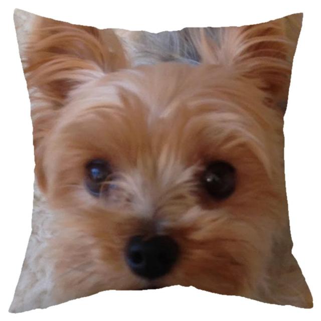 45*45 cm Cute Dogs Pattern Peach Skin Pillow Case Cushion Cover