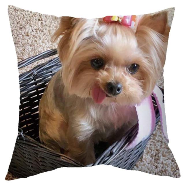 45*45 cm Cute Dogs Pattern Peach Skin Pillow Case Cushion Cover