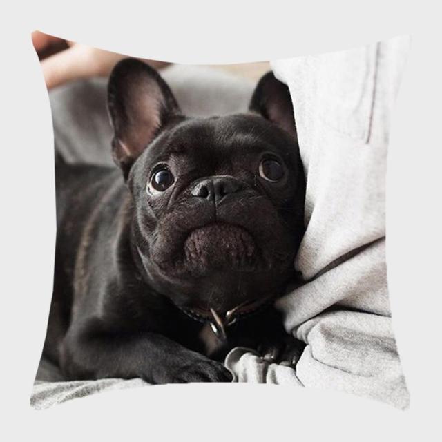 45*45 cm Cute Dog Animal Printed Pillow Case Cushion Cover