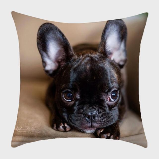 45*45 cm Cute Dog Animal Printed Pillow Case Cushion Cover