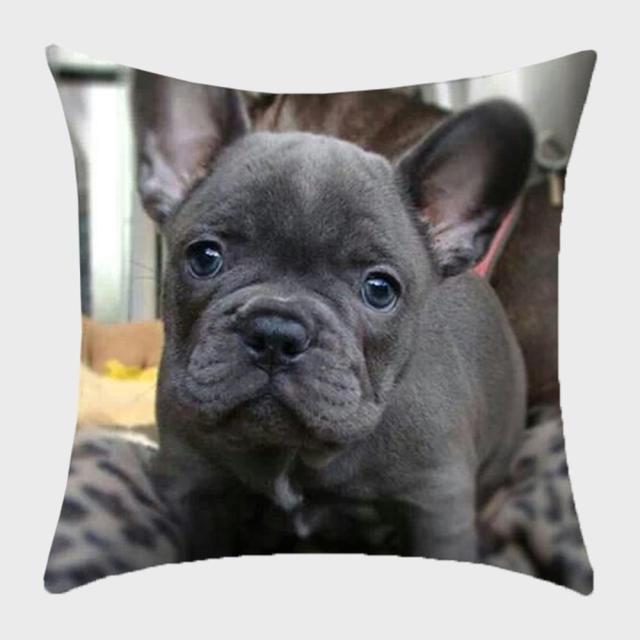 45*45 cm Cute Dog Animal Printed Pillow Case Cushion Cover