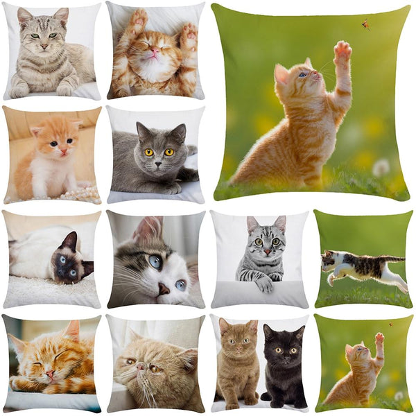 45*45 cm Cute Cat Pattern Short Plush Pillow Case Cushion Cover