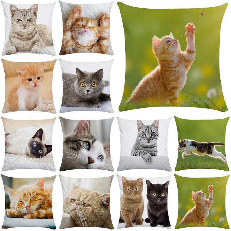 45*45 cm Cute Cat Pattern Short Plush Pillow Case Cushion Cover