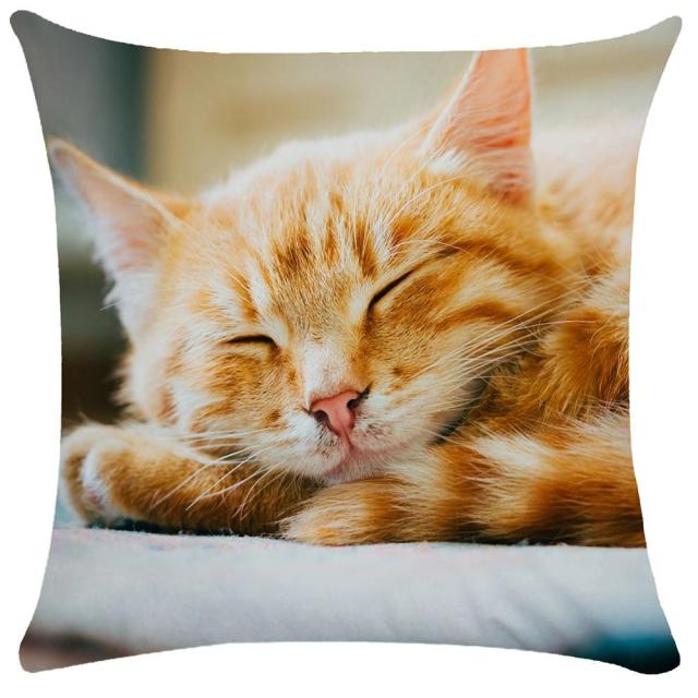 45*45 cm Cute Cat Pattern Short Plush Pillow Case Cushion Cover