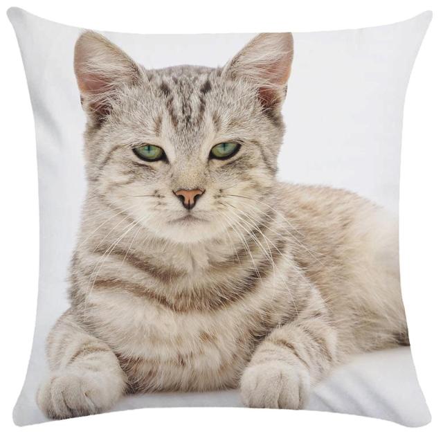 45*45 cm Cute Cat Pattern Short Plush Pillow Case Cushion Cover