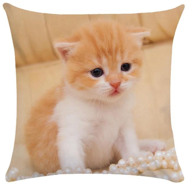 45*45 cm Cute Cat Pattern Short Plush Pillow Case Cushion Cover