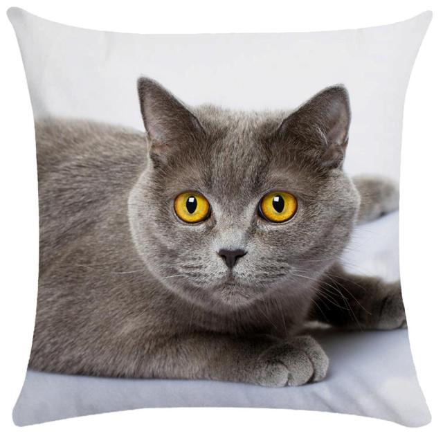 45*45 cm Cute Cat Pattern Short Plush Pillow Case Cushion Cover