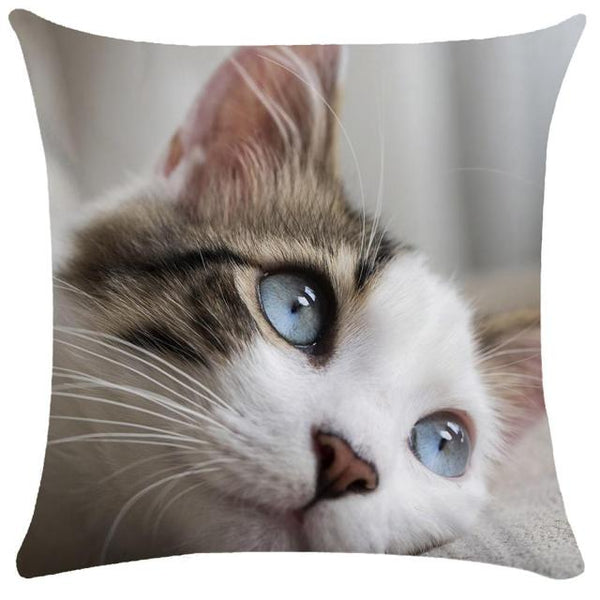 45*45 cm Cute Cat Pattern Short Plush Pillow Case Cushion Cover