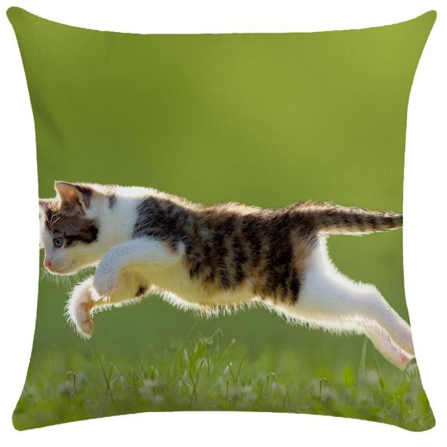 45*45 cm Cute Cat Pattern Short Plush Pillow Case Cushion Cover