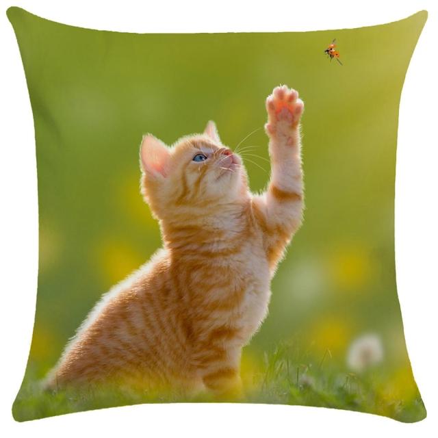 45*45 cm Cute Cat Pattern Short Plush Pillow Case Cushion Cover
