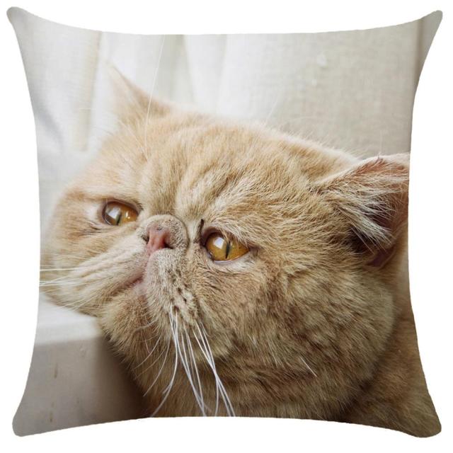 45*45 cm Cute Cat Pattern Short Plush Pillow Case Cushion Cover