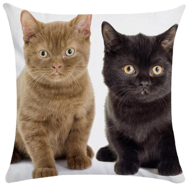 45*45 cm Cute Cat Pattern Short Plush Pillow Case Cushion Cover