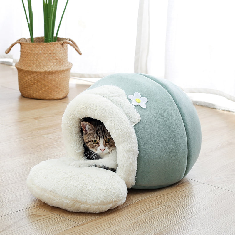 Pet Jar Bed